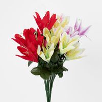 Tiger Lily Bush Asstd Colours Box of 60