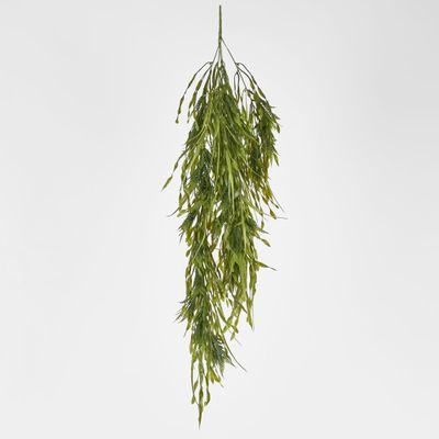 Hanging Amaranthus grass