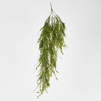 Hanging Amaranthus grass