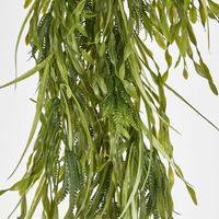 Hanging Amaranthus grass