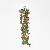 Hanging Rose Bush Orange