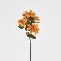 Gerbera Bush Sold in Box Qty Only