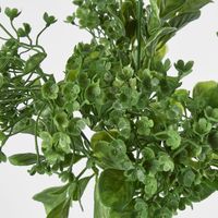 Mixed Leaf Bush Dark Green