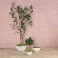 Coupe Shallow Planter Set/3
