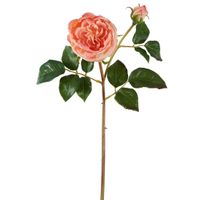 Cabbage Real Touch Rose Stem 49cm Coral