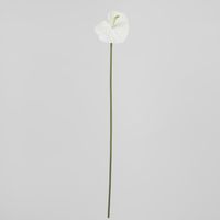 Anthurium Lily Real Touch White