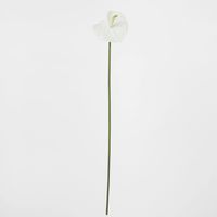 Anthurium Lily Real Touch White