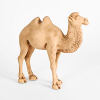 Alice the Camel Standing Terracotta