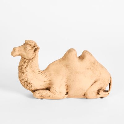 Alice the Camel Sitting Terracotta