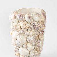 Aquata Shell Vase