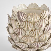 Cockle Shell Vase SML