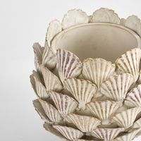 Cockle Shell Vase SML