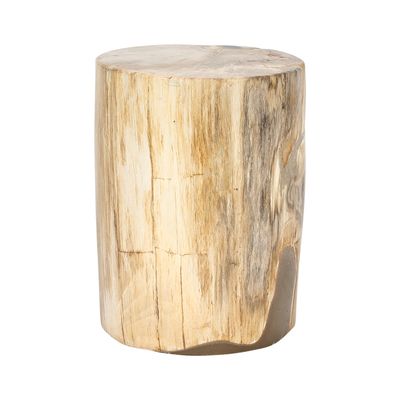 Binga Petrified Wood Table Natural