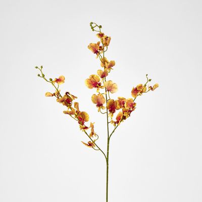 Lilly Dancing Orchid
98cm Orange