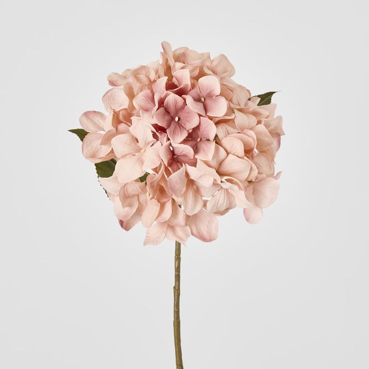 Single Hydrangea Stem White Pink 69cm