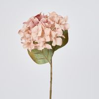 Single Hydrangea Stem White Pink 69cm