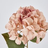 Single Hydrangea Stem White Pink 69cm