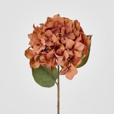 Single Hydrangea Stem Brown 69cm