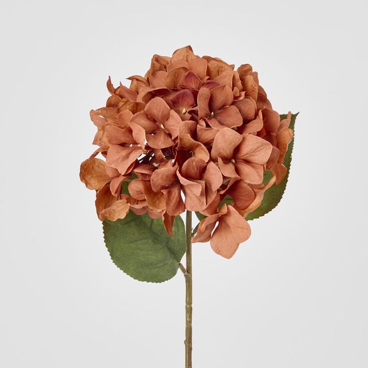 Single Hydrangea Stem Brown 69cm