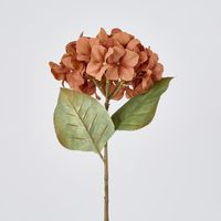 Single Hydrangea Stem Brown 69cm