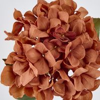 Single Hydrangea Stem Brown 69cm