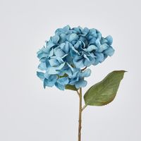 Single Hydrangea Stem Blue 69cm