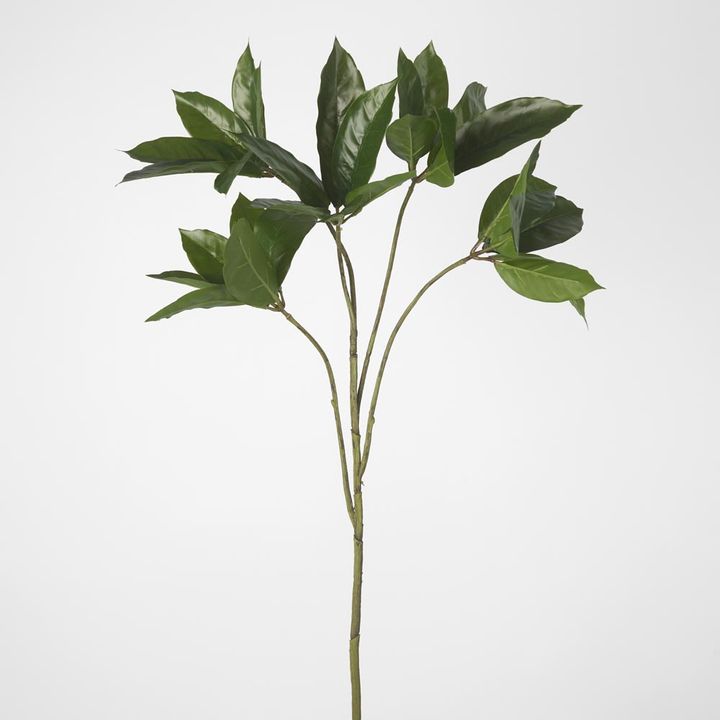 Frangipani Leaf Spray 84cm