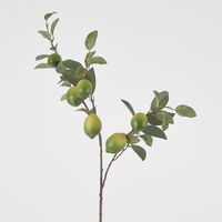 Lime Branch Spray x 6 Limes with Leaves