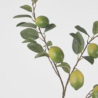 Lime Branch Spray x 6 Limes with Leaves