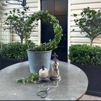 Fleur De Lys String Holder