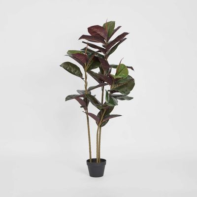 Rubber Tree Real Touch 1.45m