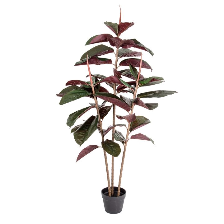 Rubber Tree Real Touch 1.45m