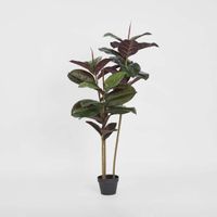 Rubber Tree Real Touch 1.45m