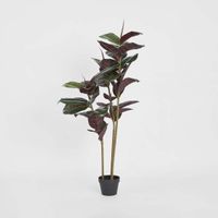 Rubber Tree Real Touch 1.45m