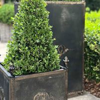 Estate Footed Iron Planters (Set of 3)