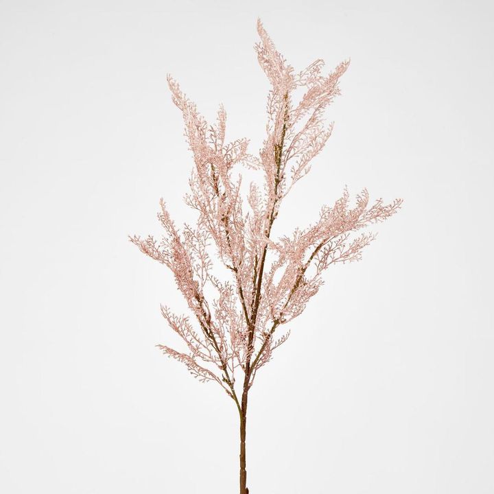 Pampas Grass Bush Pink