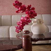 Phalaenopsis Orchid Red