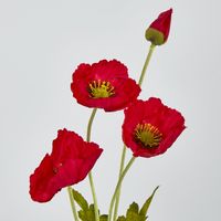 Red Poppy Spray 3 Flowers 1 bud