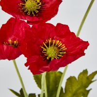 Mini Poppy Spray Red