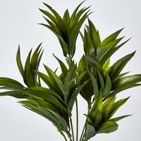 Green Pine Leaf Spray