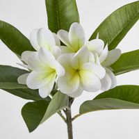 Real Touch Frangipani Stem 88cm