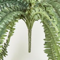 Huge Green Boston Fern Bush 52 leaves