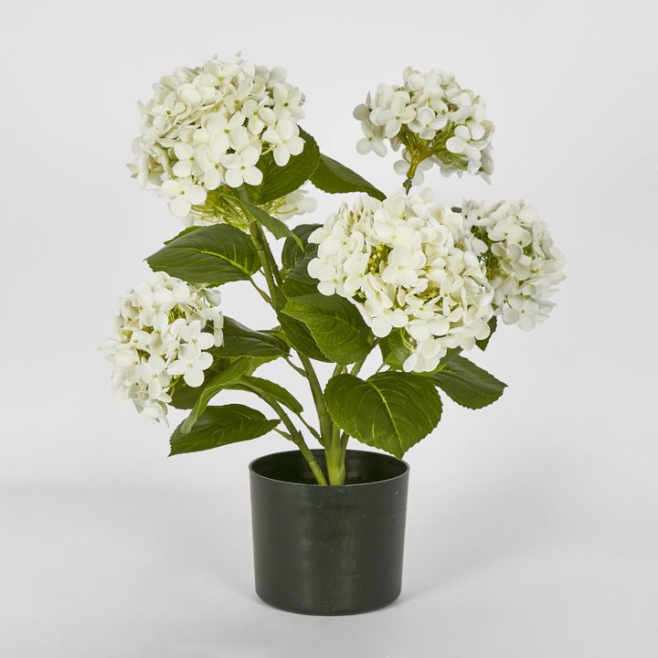 Potted Real Touch Hydrangea White 53cm