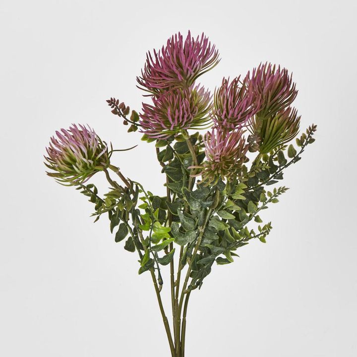 Thistle Bush x 5 Dark Pink