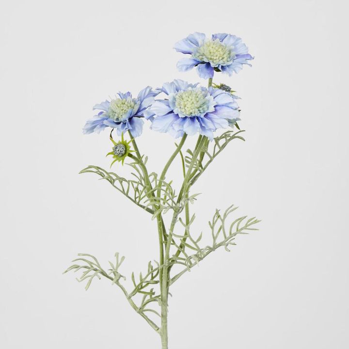 Scabiosa Spray with Buds Light Blue