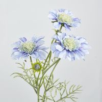 Light Blue Scabiosa 3 Flowers and 2 Buds