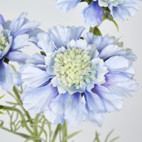 Scabiosa Spray with Buds Light Blue