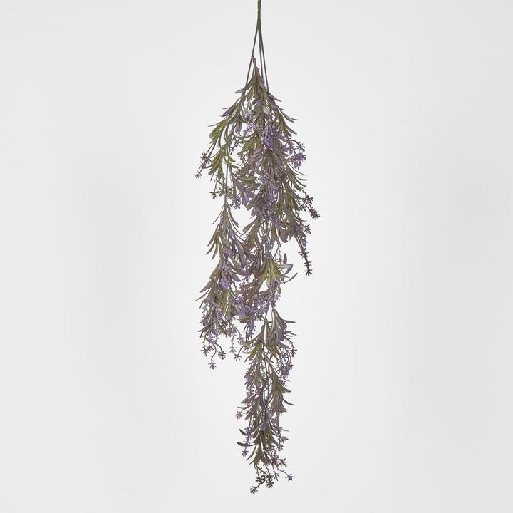 Hanging variagated grape leaf