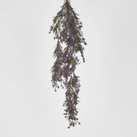 Hanging variagated grape leaf