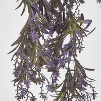 Hanging variagated grape leaf